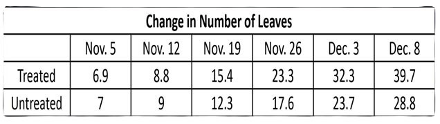 Number of Leaves Comparison